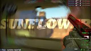 Sunflower🌻 (csgo montage)