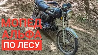 ПРОКАТИЛСЯ НА МОПЕДЕ АЛЬФА ПО ЛЕСУ/ПОКАТУШКИ ПО ЛЕСУ НА МОПЕДЕ АЛЬФА
