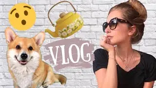 Женщина ударила меня чайником! Обнимашки с КОРГИ Таффи / Делаем ставки на ЛИФТ😳