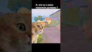 КРЫСАМ НА ЗАМЕТКУ 🤣 ПУБГ МОБАЙЛ #пубгмобайл #пабгмобайл #pubgmobile #shorts