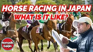 A Day at Japan’s Horse Races…Crazy…
