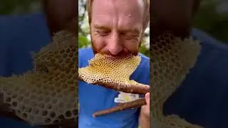 #bee