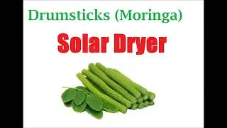 Solar Dryer For Drumsticks (Moringa)