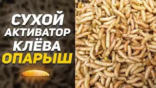 СУХОЙ АКТИВАТОР КЛЁВА ИЗ ОПАРЫША! | Рецепты Для Рыбалки