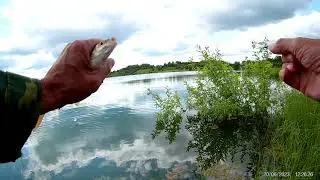 Ещё немного нимфинга