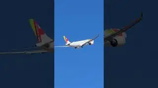 Take-off | Airbus A330NEO ✈️ #airport #lisboa #shorts