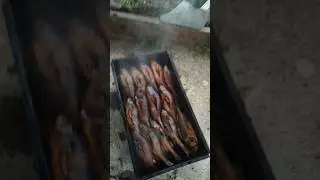 Рыбалка удалась,🕺🕺🕺#рыбалка #охота #шутка #дача #каптилка#копченаярыба #россия