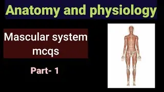 Anatomy and Physiology mcqs|| mcqs on muscular system