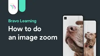 How to do an image zoom on Bravo Studio