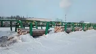 Линия сортировки бревен до 40 карманов