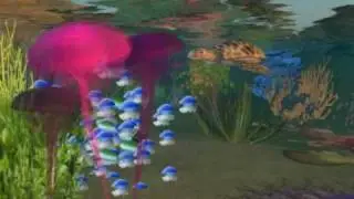 Underwater