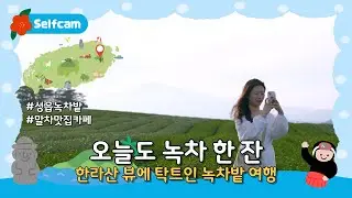 [📸]  한라산 뷰의 탁 트인 녹차밭으로의 여행!!｜오늘도 녹차 한 잔 -01