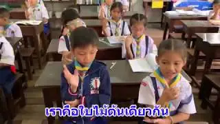 ใบไม้ต้นเดียวกัน โรงเรียน อำนวยศิษย์ศึกษา