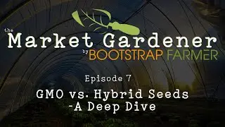 GMO Vs. Hybrid Seeds- A Very Deep Dive
