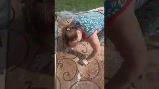 чистка паласа |
