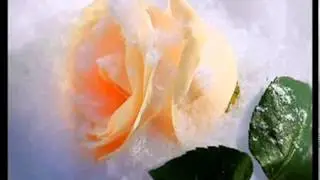 my mail ru Мой Мир@Mail Ru 1