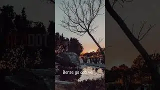 #shorts #youtubeshorts #ytshorts