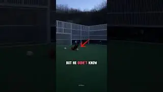 He Lost His Balls ☠️😭