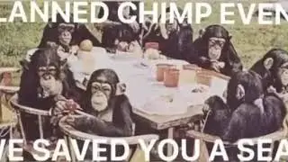 shitpost status