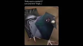 Polly Wants a Cracker