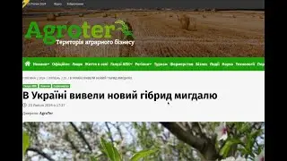 Новый сорт миндаля