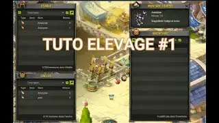 tuto élevage dragodinde