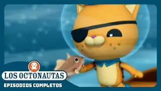 Los Octonautas - 🐟  El pez ballesta 🌪️ | Temporada 2 | Episodios Completos
