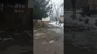 биялар сотилади.+998-94-213-07-70