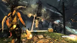 Tomb Raider - The Lost Adventurer Tomb Guide! DLC Tomb