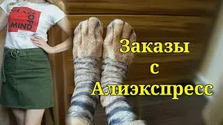 Заказы с Aliexpress. Классные Носки 3 D!!!
