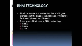 transcription and post-transcriptional gene silencing