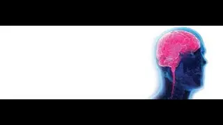 Assistive Technologies for the Disabled
