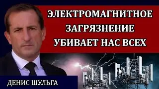 КАТАСТРОФИЧЕСКАЯ СИТУАЦИЯ В ГОРОДАХ. Воздействие возросло в разы. Денис Шульга, круглый стол.
