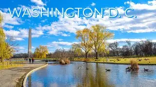 Strolling through Washington DC | June 2023 [ 4K ]