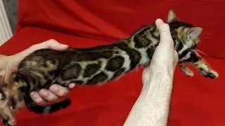 Мальчик 1 Гретта+Оскар