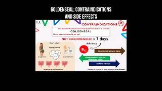 Goldenseal: contraindications and side effects #goldenseal #herbs #herbalmedicine #phytotherapy