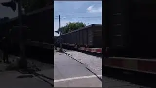 Ahí viene el treeeeen