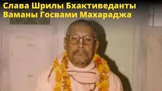 Слава Шрилы БВ Ваманы Госвами Махараджа/БВ Мадхава Махарадж (25.01.2022 г, Пури)