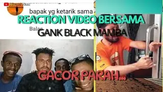 Reaction video bersama Gangk black Mamba,Anda wajib nonton sih#reaction#blackmamba#funny😭🤣🤯🔥
