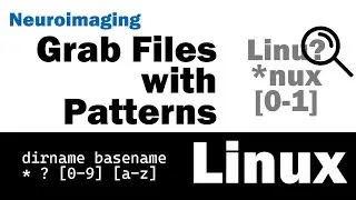 Meta characters | dirname | basename | Linux Workshop for Neuroimaging & Bioinformatics | part 7