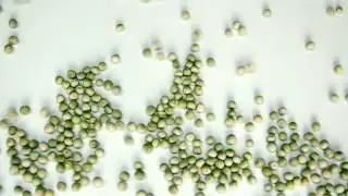 Peas Vegetable - Release Stock Video Footage