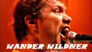 Wander Wildner - Hippie punk rajneesh