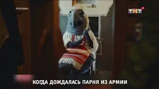 ТНТ заставка. Когда дождалась парня из армии (2017-2018)