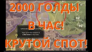 Отличный спот для фарма Hemp, Exp, Berry New World! Уже с 15 уровня!