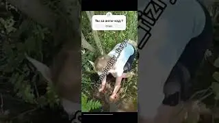 АНТИ-КВД ПОБЕДА НАША !