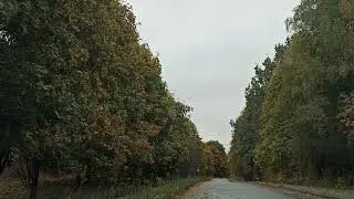 Осень. Обсыпается весь наш бедный сад  А. К. Толстой. Брянская область, с. Красный Рог.