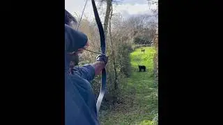 SHOOTING A BEAR