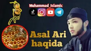 Asal Ari haqida | Muhammad Islamic tiktok