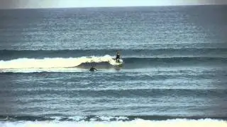 Surfing Boca Raton Nice Waves