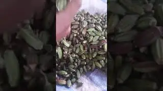 .. انخفاض كبير في أسعار الخضروات اليوم بالشرقية والطماطم بـ 8 جنيه